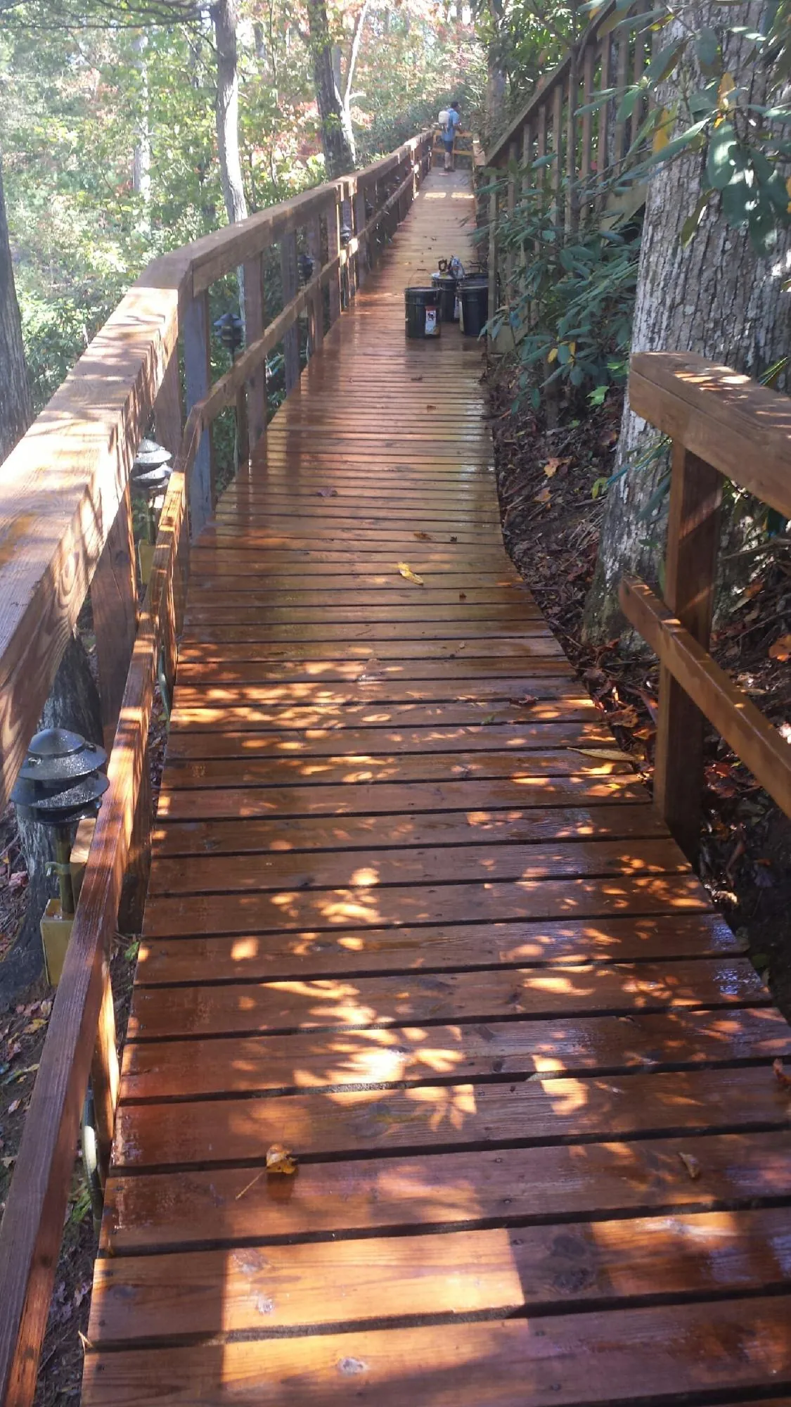 Freshly stained wood walkway winding through the woods in Caneyville