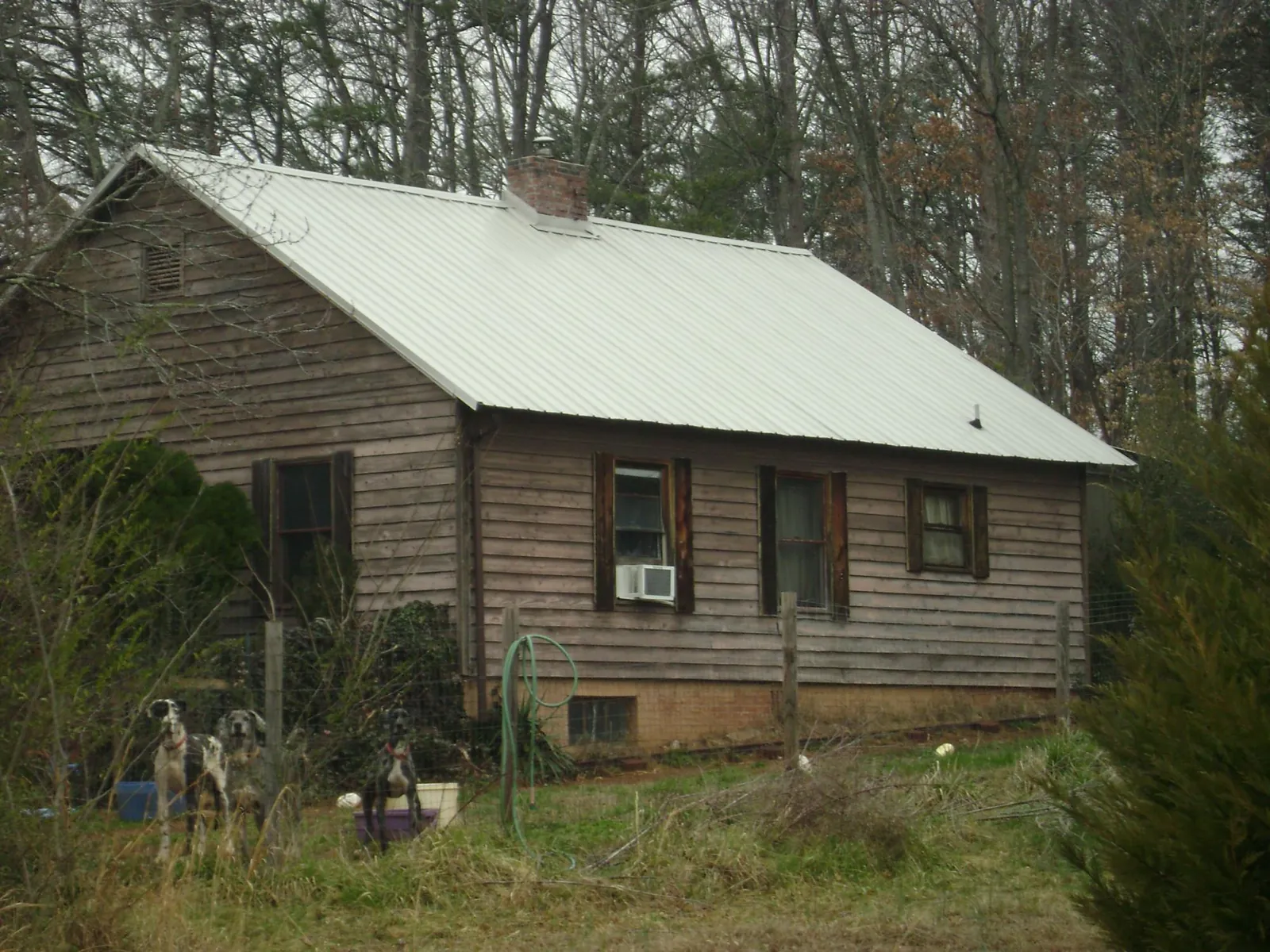 White metal roof on an old wood sided farmhouse, from a Asphalt Shingle Roof Repair job in Caneyville